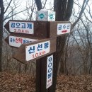금수산뷔페