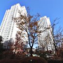 골드푸르지오공인중개사사무소 이미지