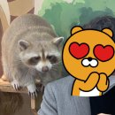쿤짱
