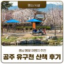 충남 봄꽃 여행지 추천, 공주 유구천 벚꽃길 산책 후기