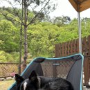 캐나디언 카누클럽 야영장 이미지