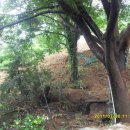 일산1리 이미지