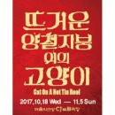 양철지붕위의고양이 이미지