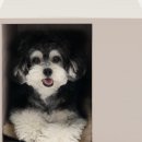 블럭하우스 이미지