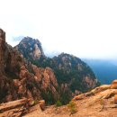 들판의추억목장 이미지