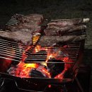 A20 | ［여행］부산 대저 캠핑장/A20 사이트 후기