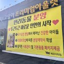 야옹아 멍멍해봐(에코시티점) 이미지