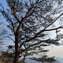 813 | 남양주시 주금산(2020.12.26)