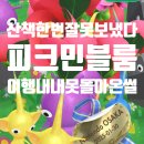 (주)스튜디오블룸 이미지