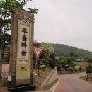 올음