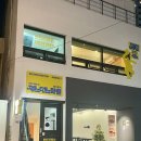 자신감 응원댄스 키즈 치어리딩 | 잼스댄스 | 대구동성로댄스학원 취미 뚝딱이반 후기