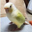 논산시 동물보호센터 이미지