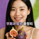 무화과 - 양평군 | 무화과