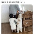 금수저은수저 이미지