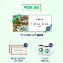 신라 PC 티스토리