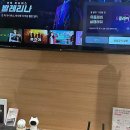 가리봉시장 | 반짝이는 최신 폰, 여기서 다 찾았어요! feat. LG유플러스 가리봉시장점