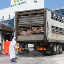 활보농장 이미지