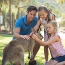 컨트리팜 이미지