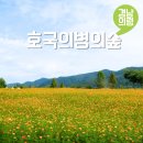 (주)상산골푸른숲 | 의령 가볼만한곳 댑싸리 호국의병의숲 친수공원 경남 여행지 추천