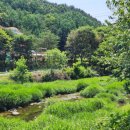 더아리웃집2 이미지