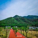 신화랑풍류숲길 이미지