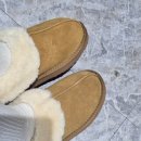 누오보 | 누오보 어그 SLUG 2.5 구매 후기