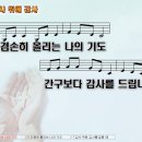 감사 위에 감사 / 겸손히 올리는 나의 기도 (민호기) [지선, 고정민] 이미지