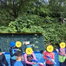 캠프리카 이미지