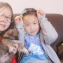 참 조은 훈이네 강아지 이미지