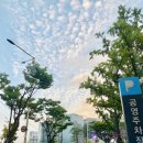 광화문 광장 책마당📚 한 여름 밤의 독서 | 서울야외도서관 후기 | 주차 안내 (++ 한식맛잔치 넉넉❗️)