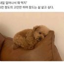 연리희재 이미지