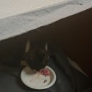 골든힐폼 이미지