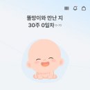 임신기록7)백일해접종/송도유니미니만삭촬영후기