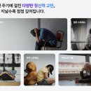 합포내과의원 이미지