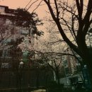 청룡어린이공원 이미지