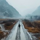 연동병설유치원 이미지