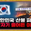 올해 대규모 산불 소식이 유난히 잠잠한 이유 [지구본 초대석] 이미지
