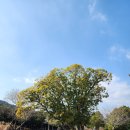 서홍동 재활용 도움센터 이미지