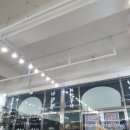 청춘회물회 이미지