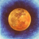 신 달토끼 이미지