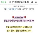 코끼리샐러드 이미지