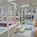 화곡4동 이미지
