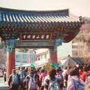 충남 논산 반야산 관촉사(灌燭寺)- 이미지