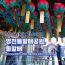 치산약수터 | 대구 근교 여행 영천 돌할매 돌할배 소원 빌기