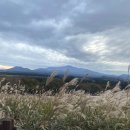 찰리즈하우스 이미지