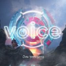 보이스(voice) 네이버블로그