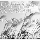 정교초등학교 이미지