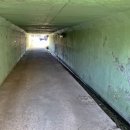 강동면주민자치센터 이미지