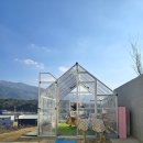 스테이 루비 이미지