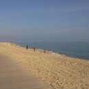 경포의하루 이미지